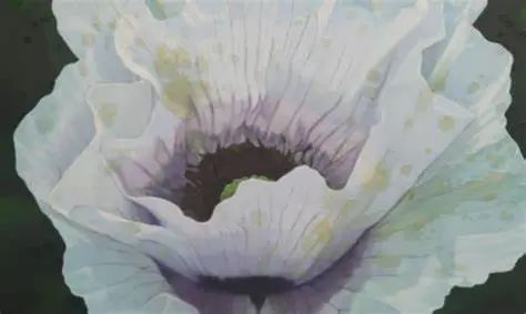 波德莱尔的现代人与现代英雄:读《发达资本主义时代的抒情诗人》