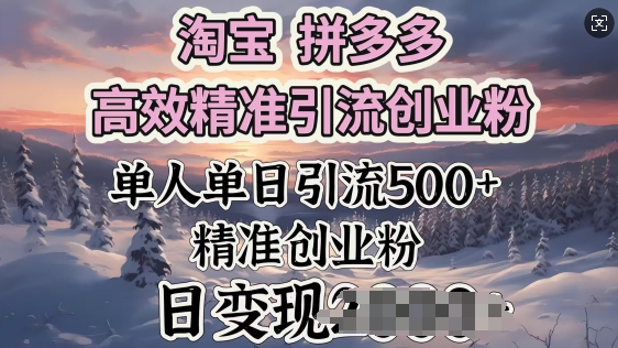 淘宝拼多多高效精准引流创业粉，单人单日引流500+创业粉，日变现多张-北向