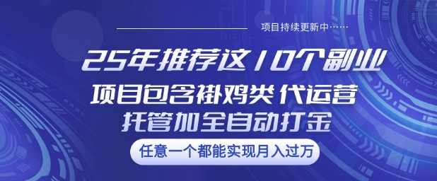 25年推荐这10个副业项目包含褂鸡类、代运营托管类、全自动打金类【揭秘】-北向