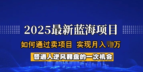2025蓝海项目，普通人如何通过卖项目，实现月入过W，全过程【揭秘】-北向