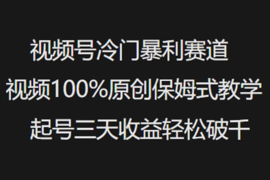 视频号冷门暴利赛道视频100%原创保姆式教学起号三天收益轻松破千-北向