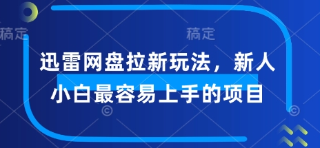 迅雷网盘拉新玩法，新人小白最容易上手的项目-北向