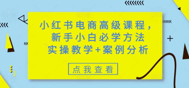 小红书电商高级课程，新手小白必学方法，实操教学+案例分析-北向