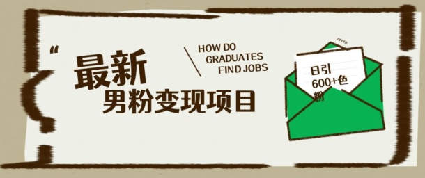 最新男粉变现项目，日引100+S粉，流量爆炸，小白轻松上手-北向